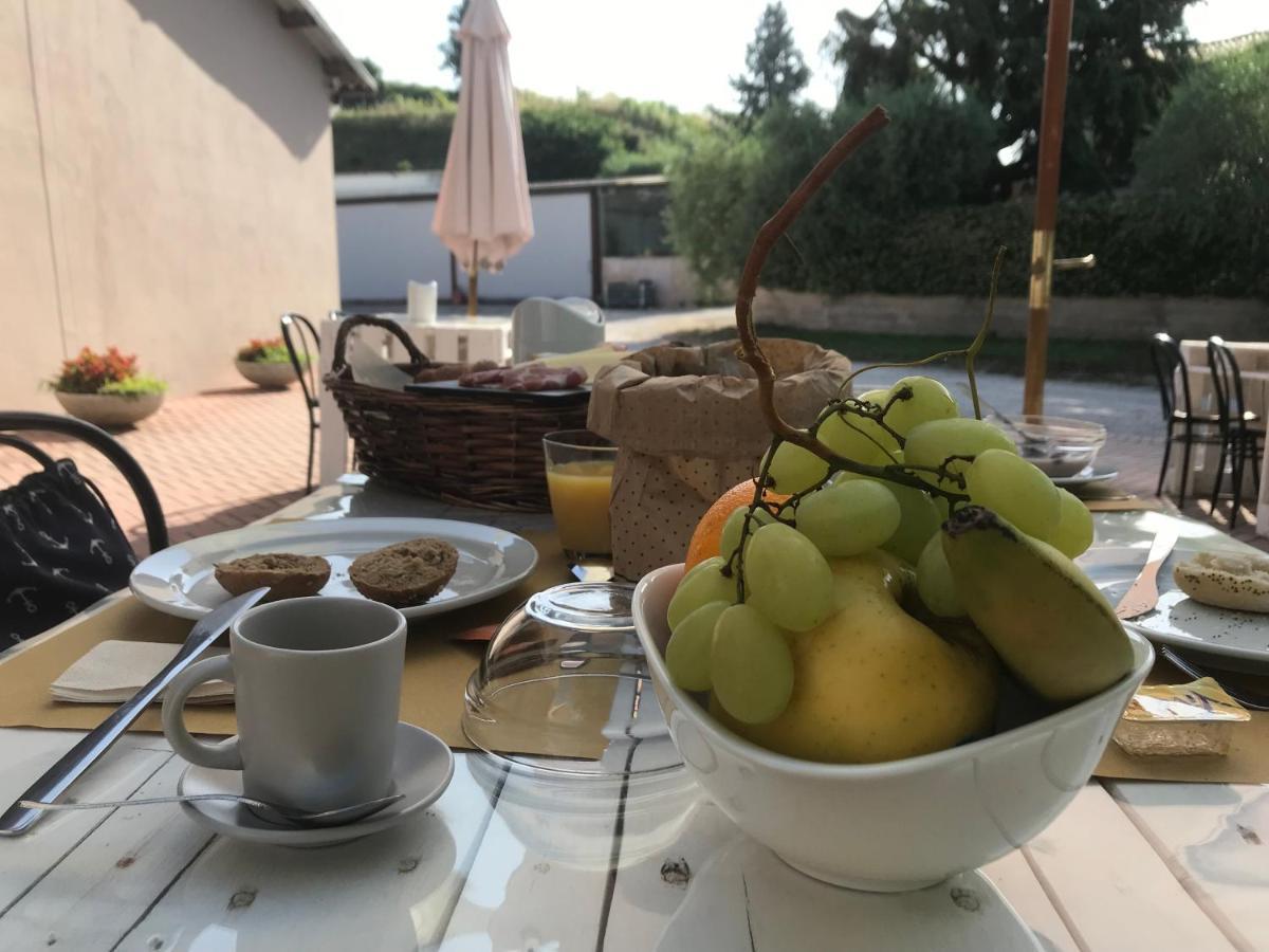 Agricamping Al Grappolo Divino Alloggio per agriturismo