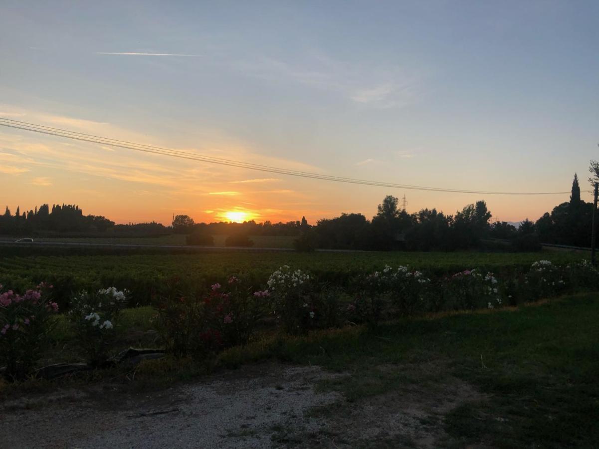 Bauernhof Agricamping Al Grappolo Divino