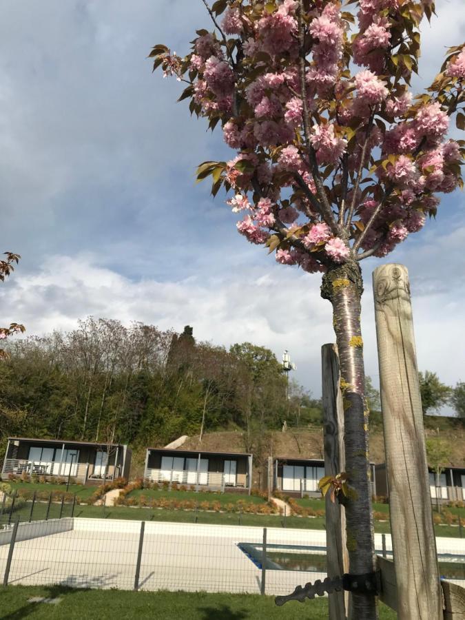 Bauernhof Agricamping Al Grappolo Divino Lazise